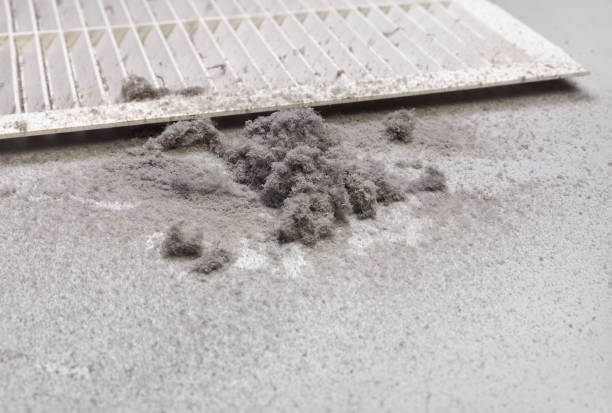 Best Air Duct Mold Removal  in Clemmons, NC